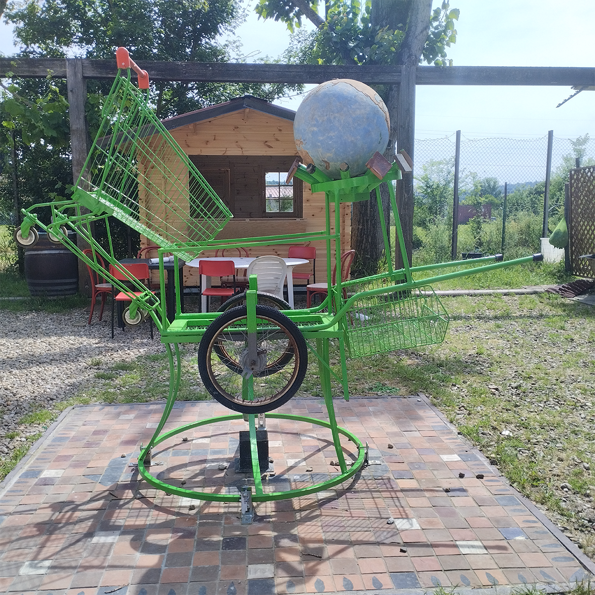 foto carrello senza grafica
